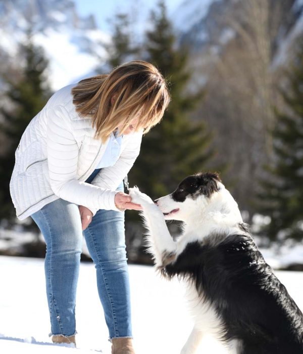 Thérapie-assistée-par-le-chien